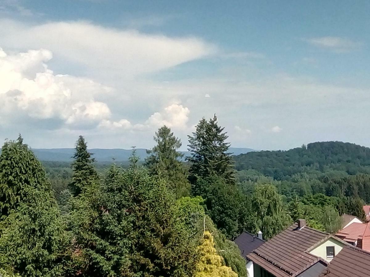 Jagdschloesschen-Harz Apartment Bad Sachsa Bagian luar foto