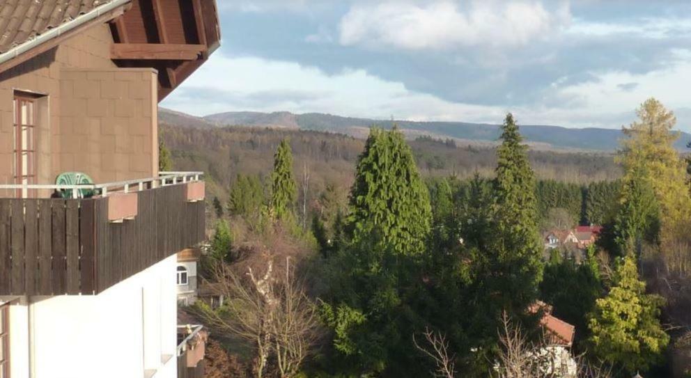 Jagdschloesschen-Harz Apartment Bad Sachsa Bagian luar foto